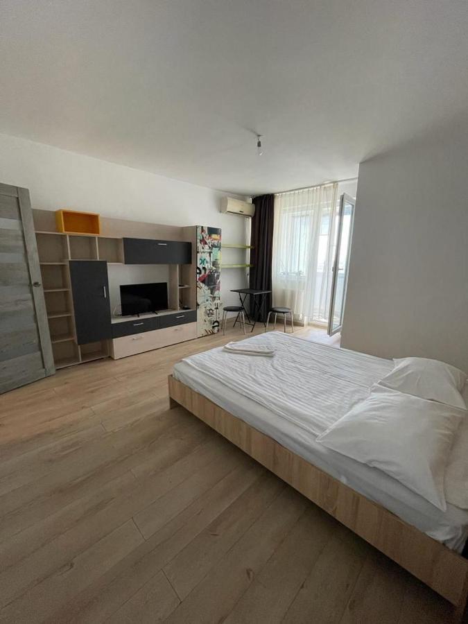Bega Cirumvalatiunii One Room Apartment- 4 Timisoara Exterior photo